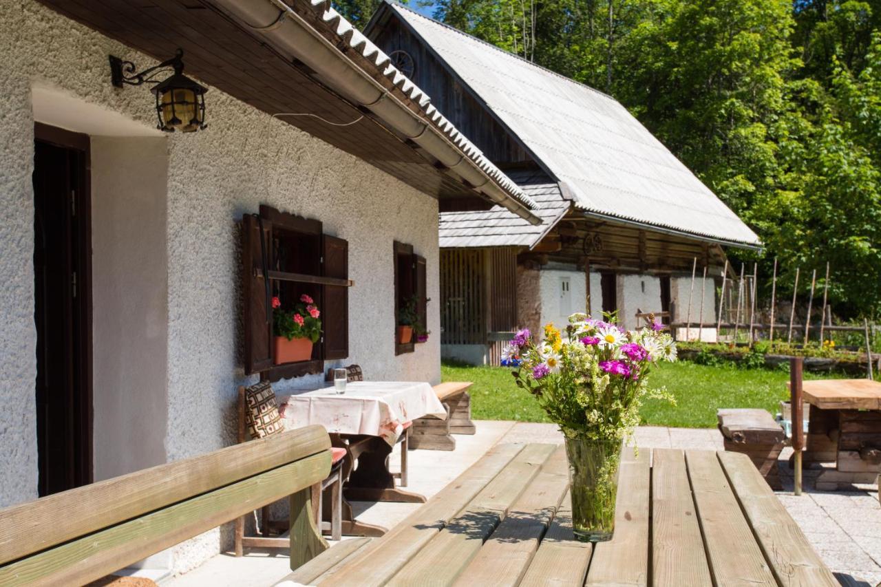 Mountain House Minka Villa Srednja Vas v Bohinju Exterior photo